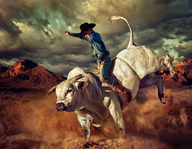 Extraordinary Did Chuck Norris Ride Bulls Gallery