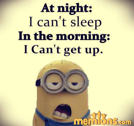 Joke for Wednesday, 17 February 2016 from site Minion Quotes - Night vs ...